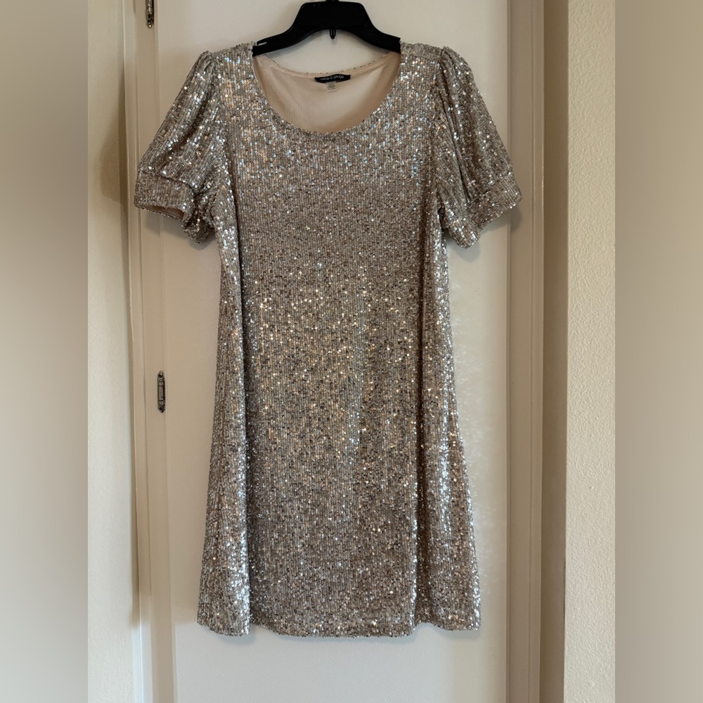 Cable & Gauge Shimmering Silver Dress